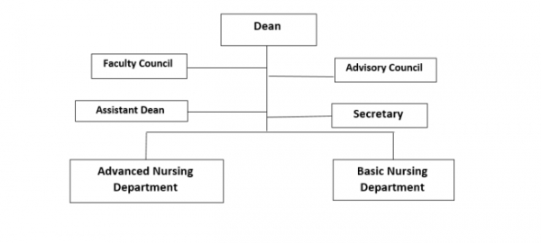 Organizational Structure of the Nursing Faculty