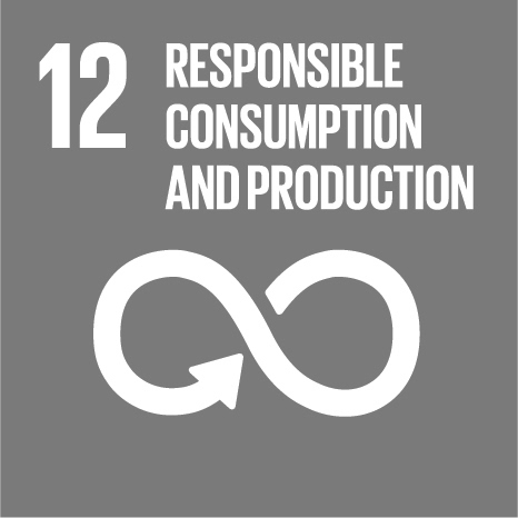  SDG12: REPONSIBLE CONSUMPTION AND PRODUCTION 
