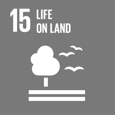  SDG15: LIFE ON LAND 