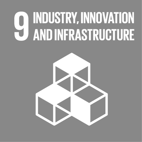  SDG9: INDUSTRY INNOVATION AND INFRASTRUCTURE 