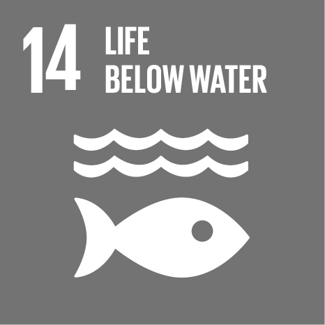  SDG14: LIFE BELOW WATER 